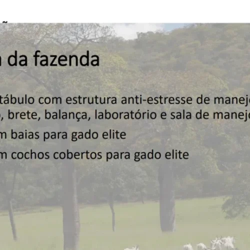 25e7022cd22b0c22c9250604214c6c259b32f6e9-1-1024x539-1