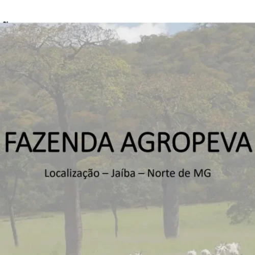 41f6cefc21c7f79b08322ed456b81293ac5f84c2-1-1024x541-1