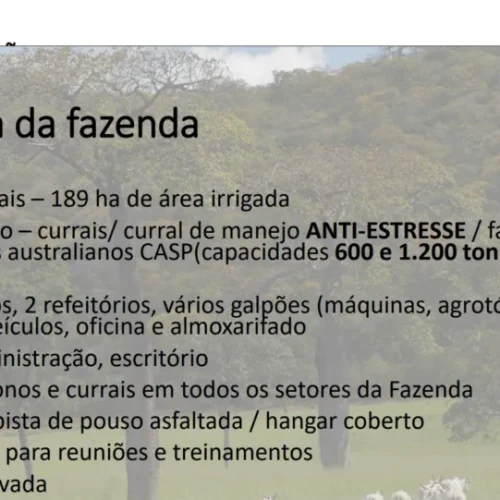 4ad8ccf825cd7ab5f9a3aefe21e25d736d048a1a-1-1024x541-1