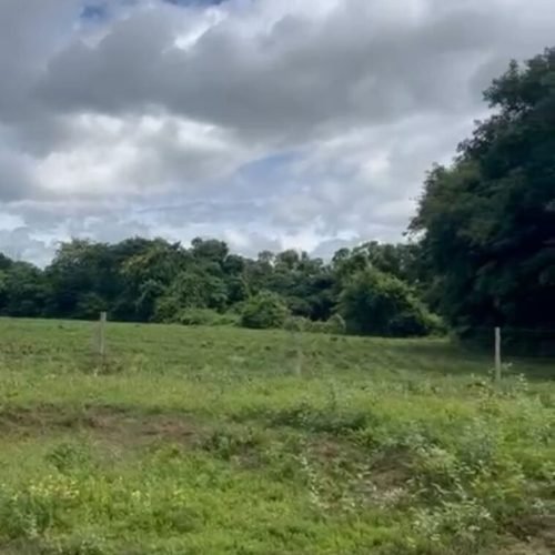Imagem-do-WhatsApp-de-2026-01-09-as-14.28.55_d9e2b8b3-758x1024-1